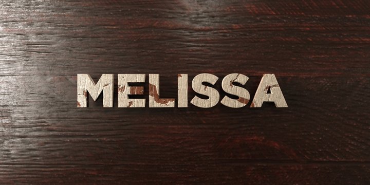 Melissa - grungy wooden headline on Maple  - 3D rendered royalty free stock image. This image can be used for an online website banner ad or a print postcard.