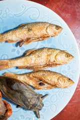 .Horseshoe crabs, fish, fried onions in a tasty dish placed on a