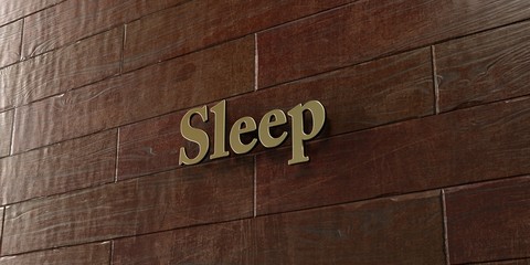 Sleep - Bronze plaque mounted on maple wood wall  - 3D rendered royalty free stock picture. This image can be used for an online website banner ad or a print postcard.