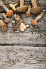 Raw mushrooms on a wooden table. Boletus edulis and chanterelles