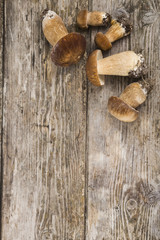 Raw mushrooms on a wooden table. Boletus edulis and chanterelles