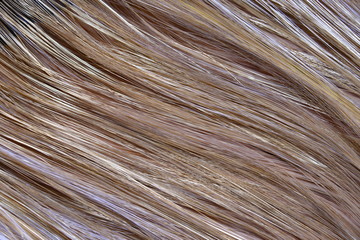 Fototapeta premium Hosoo Shop Kyoto Japan