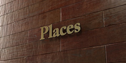 Places - Bronze plaque mounted on maple wood wall  - 3D rendered royalty free stock picture. This image can be used for an online website banner ad or a print postcard.