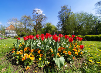 Fr&uuml;hlingserwachen