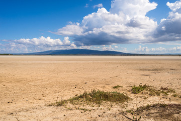 Stagno salato di Sale Porcus, Sardegna