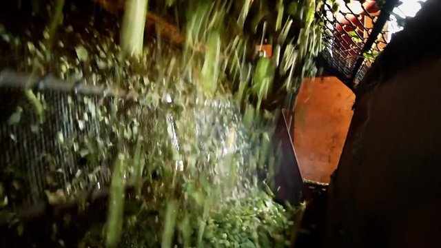 hops farmers working with hop picking machine , Villoria village , Leon, Spain ; 1900x1080 HD video
