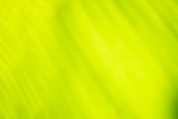 Abstract blurred green background,natural green background for d