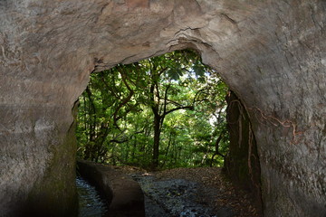 Obraz premium Queimadas, MADERE.