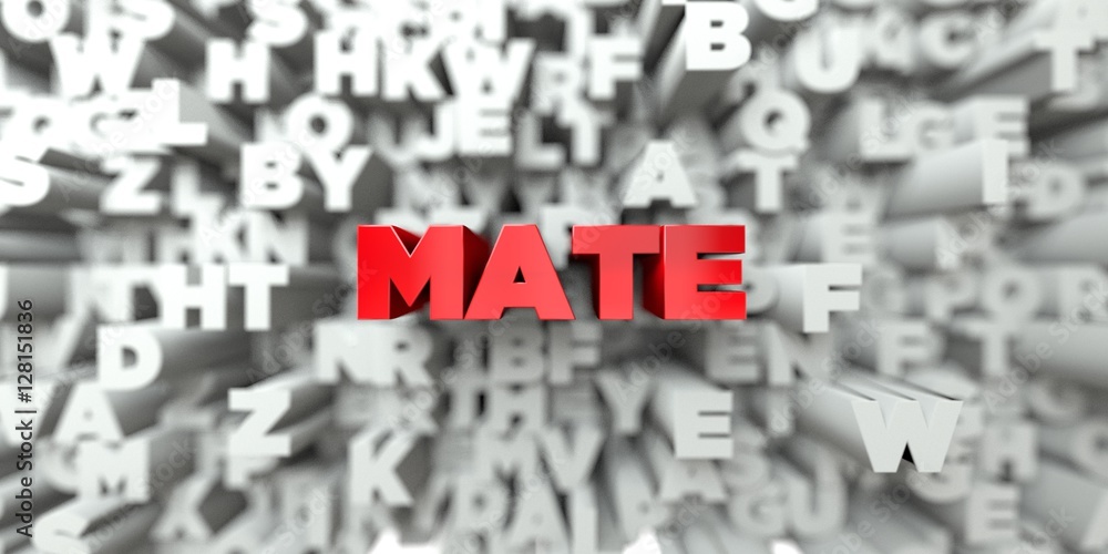 Fototapete mate - red text on typography background - 3d rendered royalty free stock image. this image can be u
