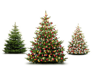 Weihnachtliche Tannenbäume