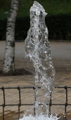 FUENTE DE JARDÍN PUBLICO DE MADRID