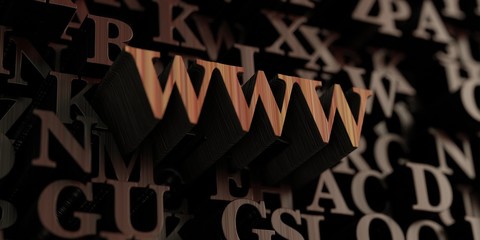 Www - Wooden 3D rendered letters/message.  Can be used for an online banner ad or a print postcard.