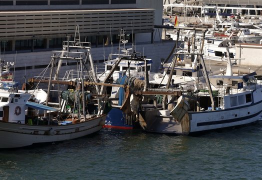 Fototapeta BARCO PESQUERO DEL PUERTO DE DENIA,ALICANTE,ESPAÑA  