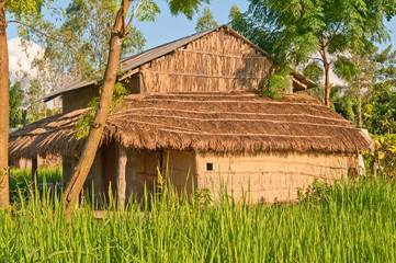 The native house in Chitwan National Park.