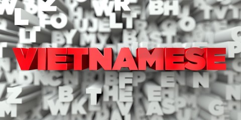 VIETNAMESE -  Red text on typography background - 3D rendered royalty free stock image. This image can be used for an online website banner ad or a print postcard.