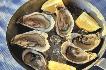 Opened Oysters on metal plate with ice and lemon