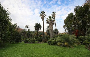Fototapeta na wymiar Botanic Garden park in Rome, Italy