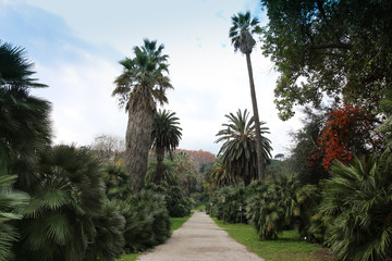 Fototapeta na wymiar Botanic Garden park in Rome, Italy