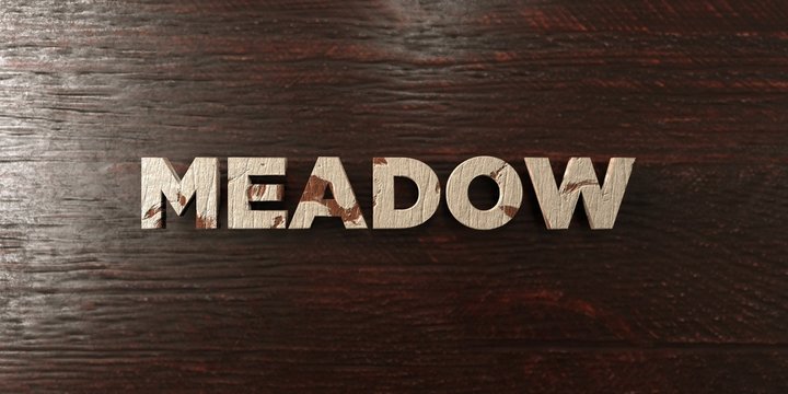 Meadow - grungy wooden headline on Maple  - 3D rendered royalty free stock image. This image can be used for an online website banner ad or a print postcard.