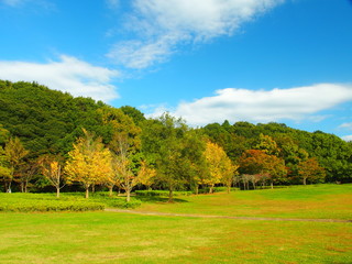 秋の公園風景