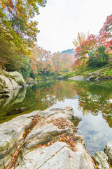 紅葉の景色