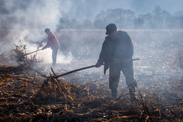 TRANSYLVANIA,ROMANIA, NOVEMBER 21: Uknown man preparing the land © danmir12