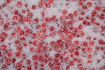 Ripe berries of guelder-rose in sugar.