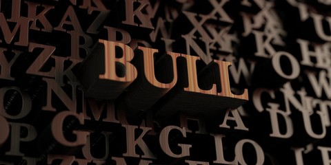 Bull - Wooden 3D rendered letters/message.  Can be used for an online banner ad or a print postcard.