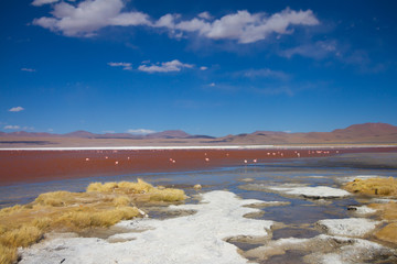 Desert and mountain over blue sky and white clouds on Altiplano,Bolivia Chile