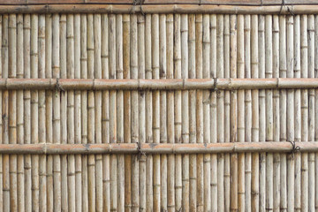 Bamboo fence