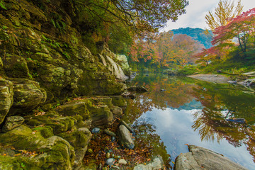 紅葉の景色