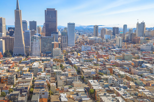 Aerial view of San Francisco Financial District and Transamerica Pyramid skyline from the top of Coit Tower, California, United States. Coit Tower is atop Telegraph Hill.
