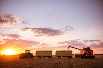 Tractor on a countyside