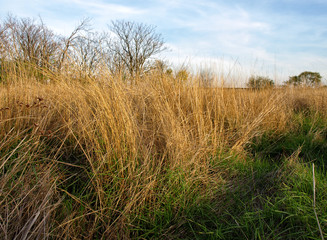 Fototapeta premium Autumn scenery with stubble-field. long exposure