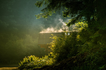 Plakat Evaporating moisture from a house roof in Romanian forests