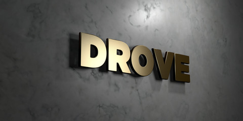 Drove - Gold sign mounted on glossy marble wall  - 3D rendered royalty free stock illustration. This image can be used for an online website banner ad or a print postcard.