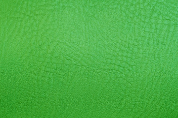 green texture leather skin