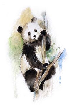 Panda sitting on a tree, watercolor
