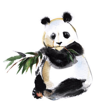 Panda with bamboo sprig isolated on a white background, watercol