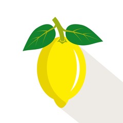 Lemon. Ripe, juicy fruit