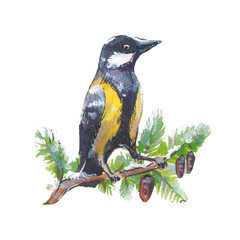 Watercolor cristmas titmouse on branch