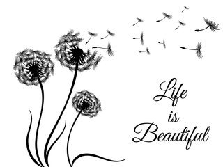 black vector sticker - print with flying dandelion seeds