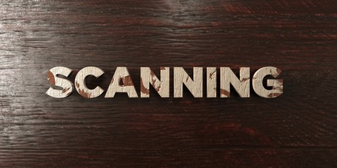 Scanning - grungy wooden headline on Maple  - 3D rendered royalty free stock image. This image can be used for an online website banner ad or a print postcard.