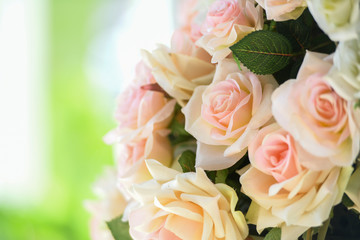 Pink roses