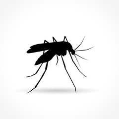 mosquito icon on white background