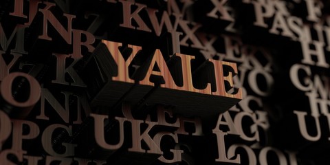 Obraz premium Yale - Wooden 3D rendered letters/message. Can be used for an online banner ad or a print postcard.