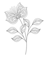 Vector Beautiful Contour Flower