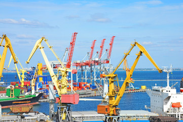 Bulk cargo ship under port crane