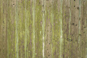 Fototapeta na wymiar wooden fence