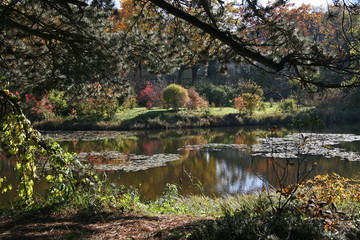 Lake beautiful fall colors